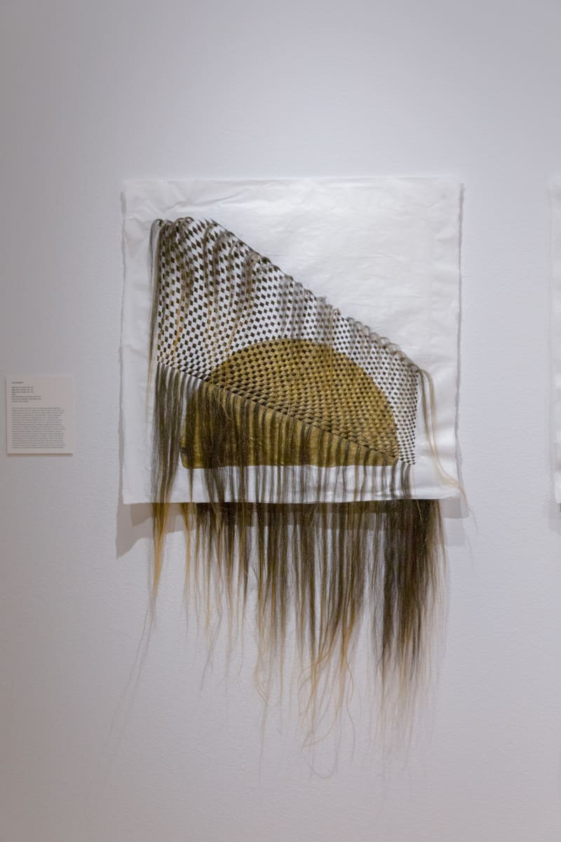 Migration Studies (No. 40) by Lisa Jarrett  Image: Lisa Jarrett
"Migration Studies (No. 40)", 2022
Mixed Media, kanekalon 26" hair, Yasutomo Metallic Gold Black Ink, acrylic, Kozo Paper