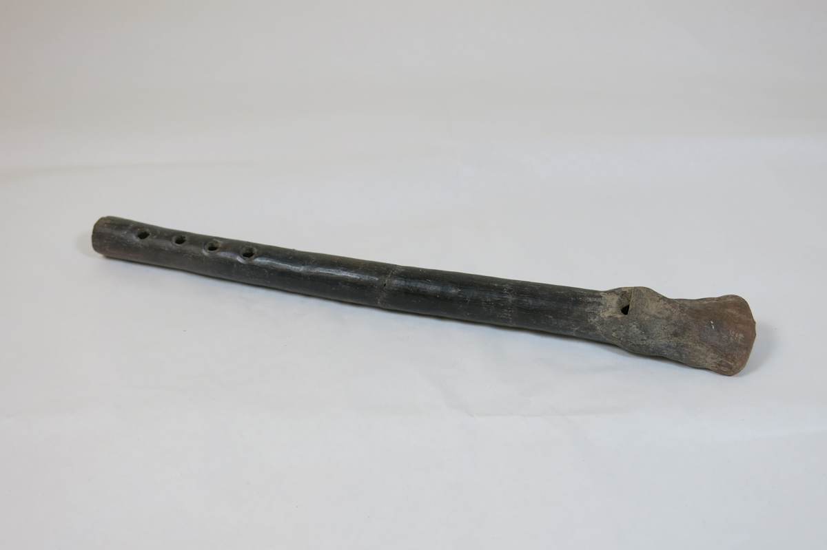 Flute, Colima, Image 1.