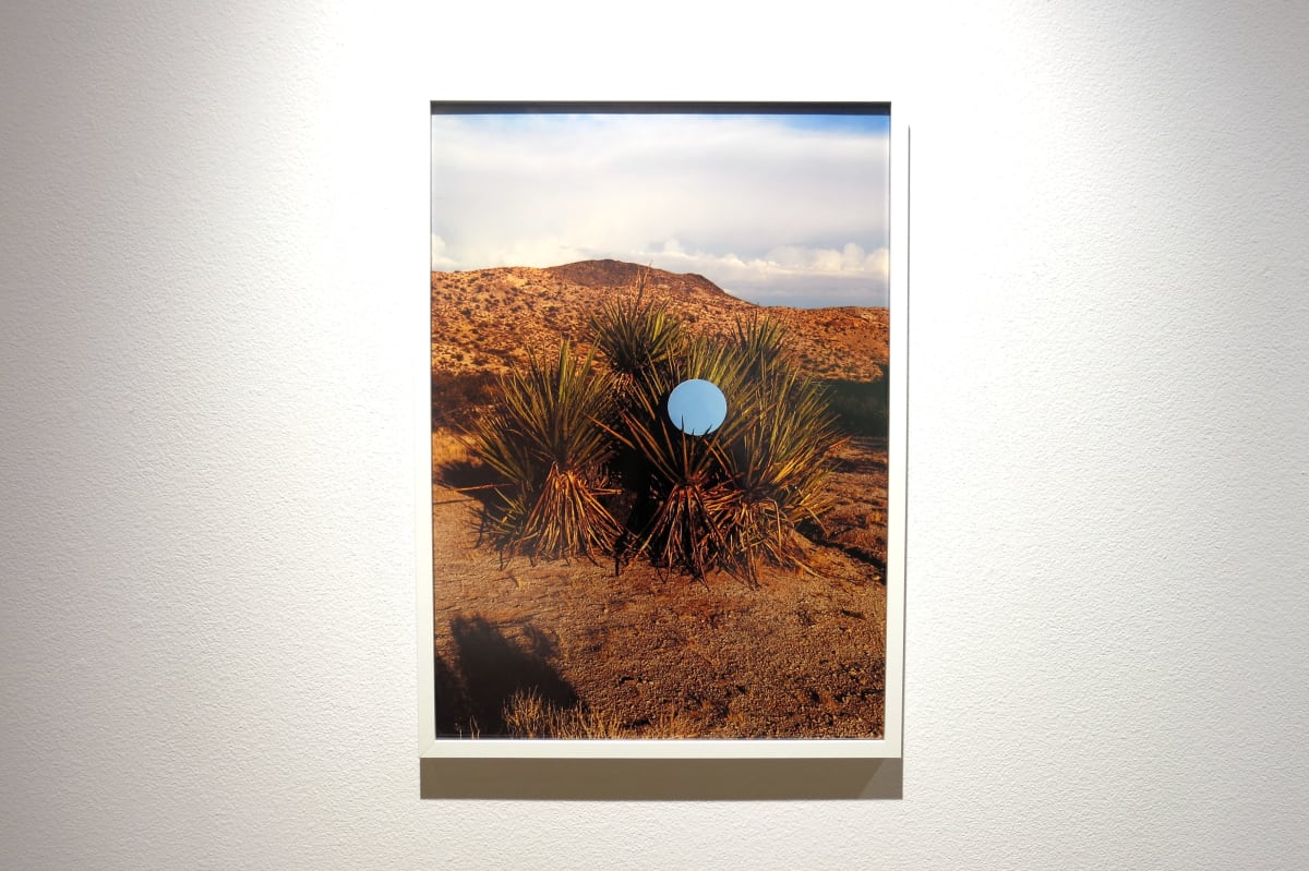 Its Teeth Are Soft by Mikayla Whitmore, Image 1.
