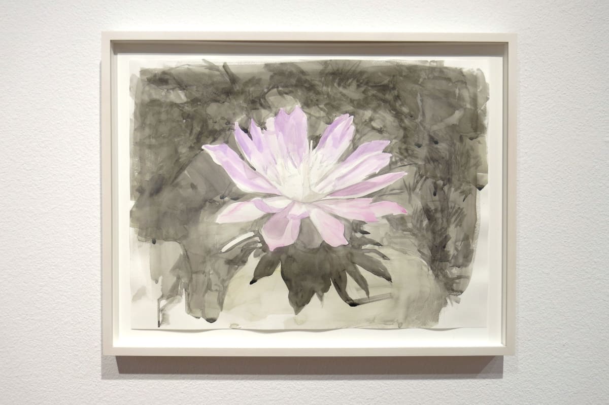 Lewisia as Lotus by Eric LoPresti, Image 1.