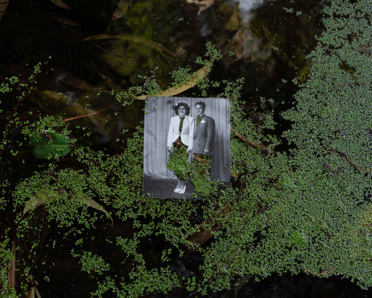 Kuruvungna / Santa Monica, Kuruvungna Village Sacred Springs   (Spring Water, Eucalyptus Leaves, Duckweed) by Amy Elkins  Image: Amy Elkins
Kuruvungna / Santa Monica, Kuruvungna Village Sacred Springs 
(Spring Water, Eucalyptus Leaves, Duckweed) 