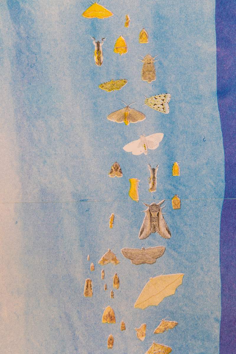 Exhibition Image 2.