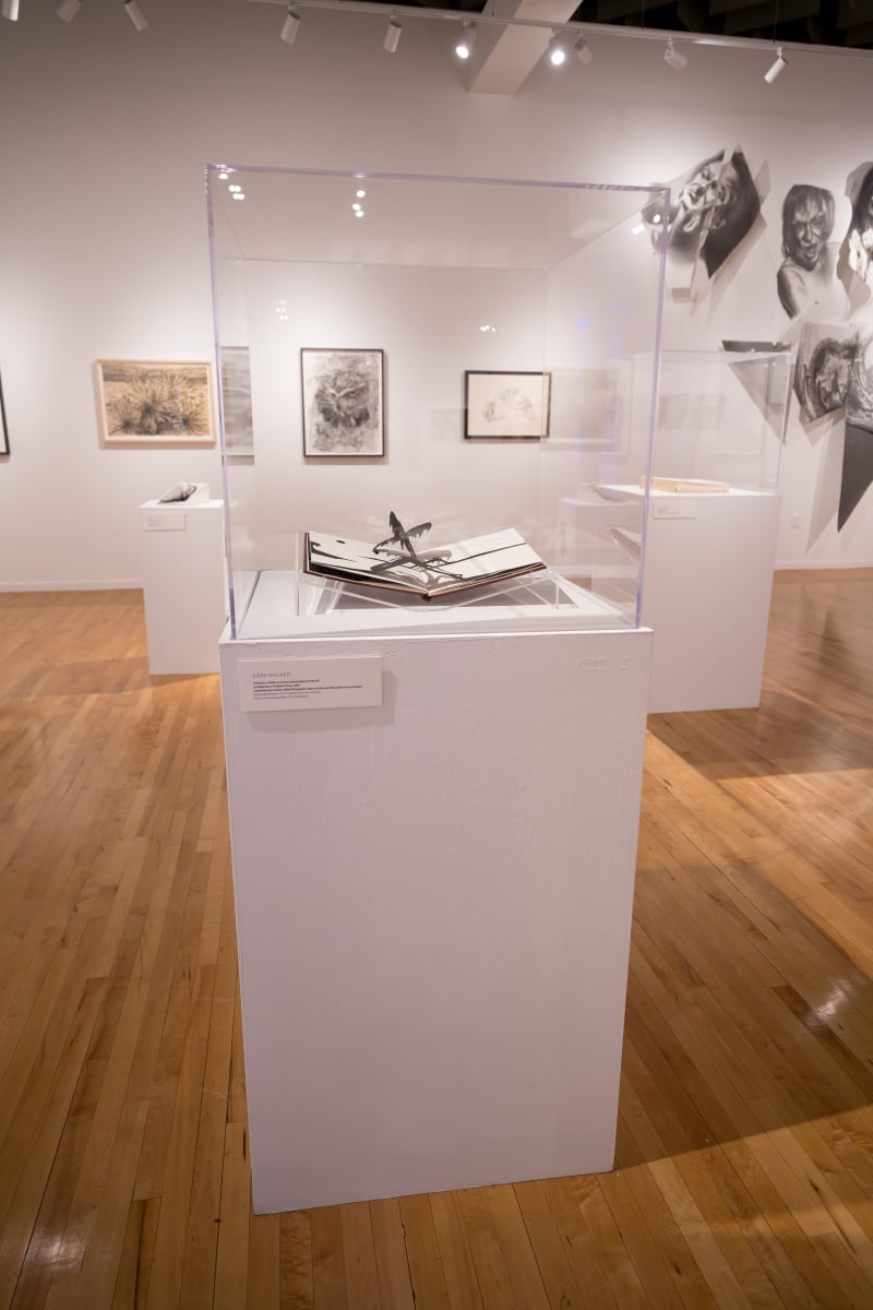 Exhibition Image