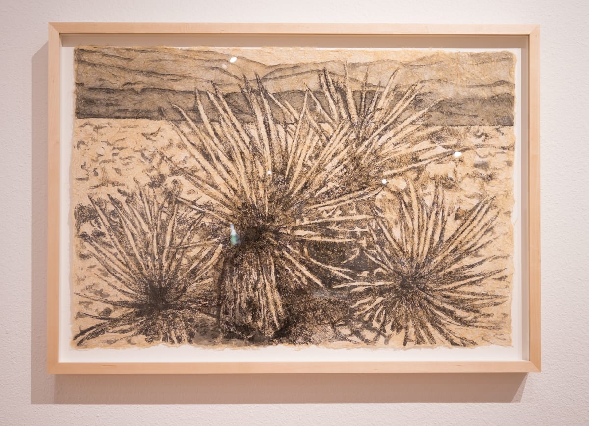Mojavean Transmutations #2 by Lee Cannarozzo  Image: Installation View, Courtesy of Marjorie Barrick Museum of Art (Photography by Claire Hart)