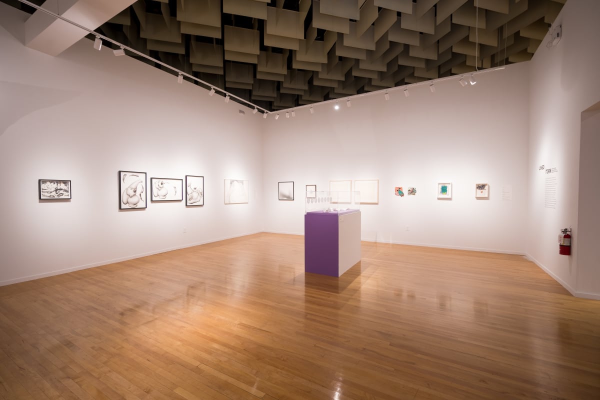 Exhibition Image