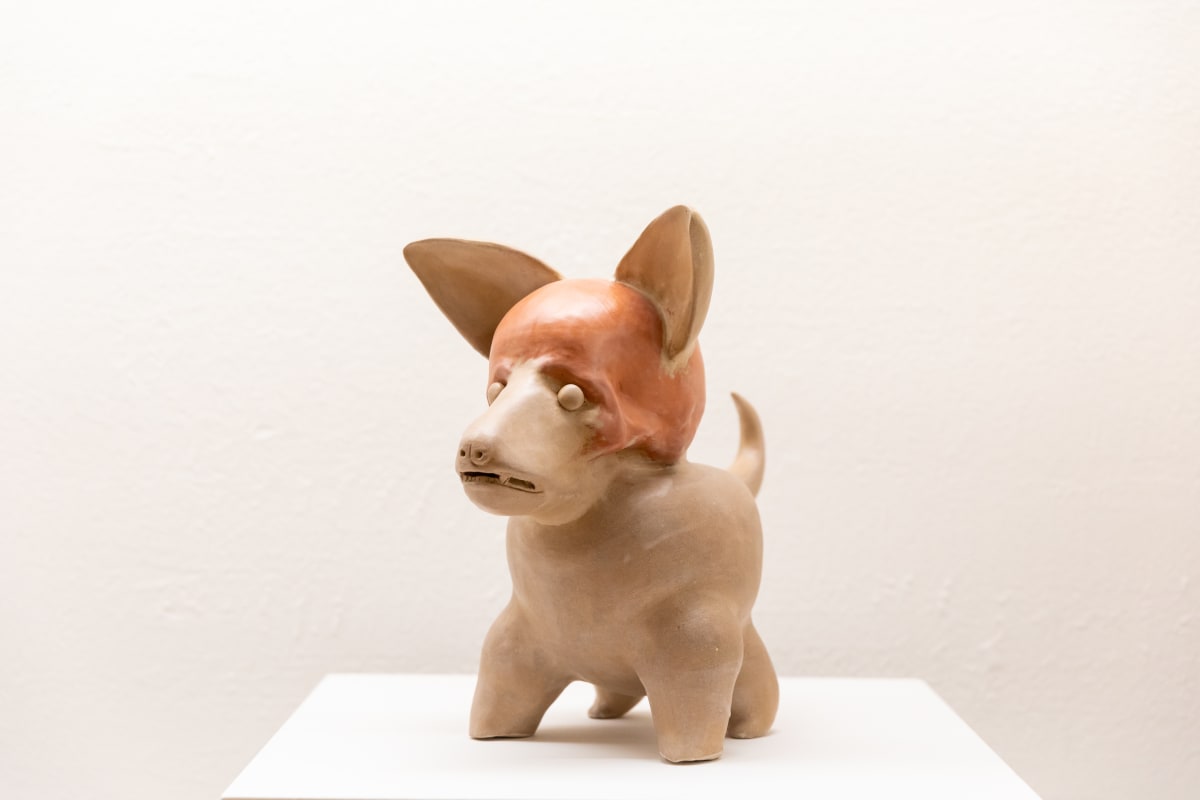 Pinche Xoloescuincle by Cesar Piedra 