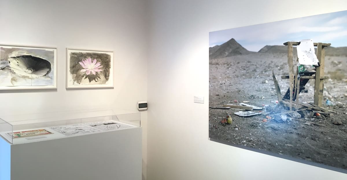 Installation view of "Dry Wit" at the Nevada Humanities Program Gallery. (Photo by Javier Sanchez)