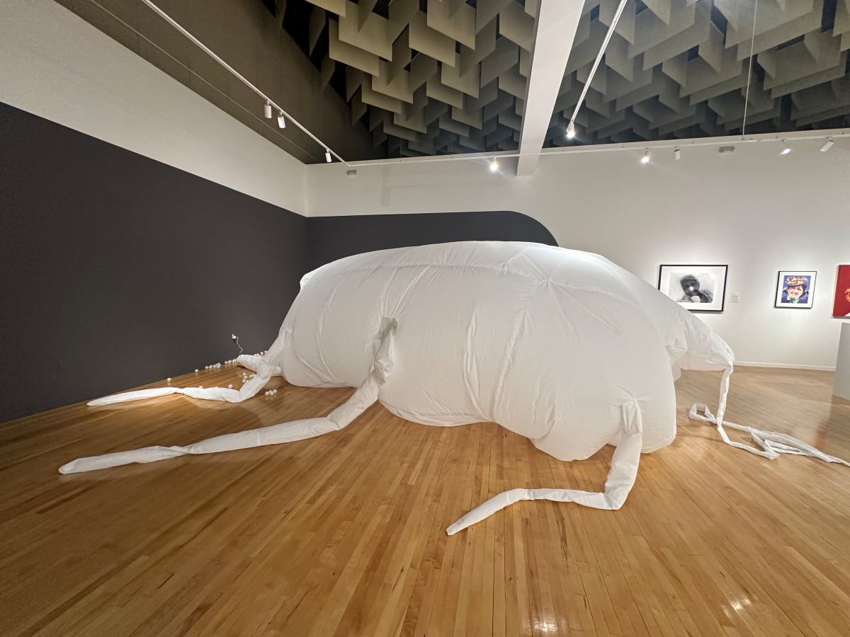 Mom-Roach (Birth Canal) by Lyssa Park  Image: Installation View, Courtesy of Marjorie Barrick Museum of Art (Photography by Krystal Ramirez)