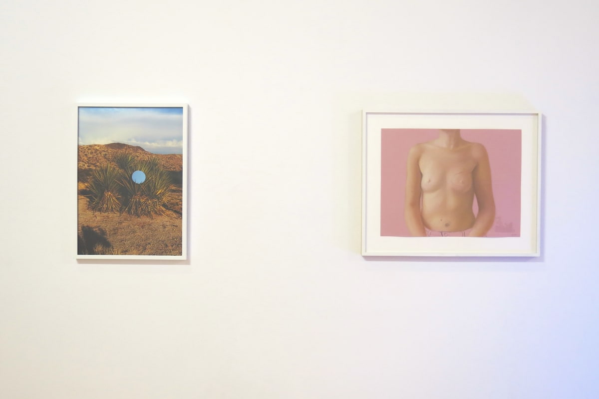 Exhibition Image