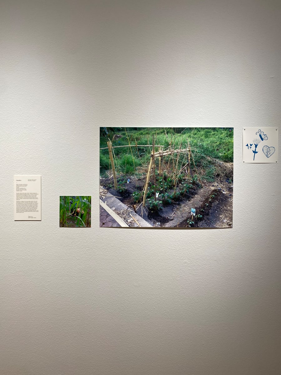 Omehen: The Garden as Chronicle and Strategy of Resistance by Omehen  Image: Installation image by Mikayla Whitmore