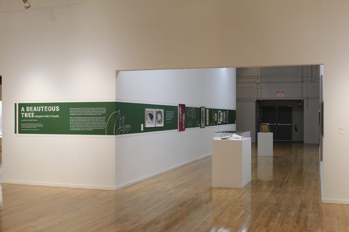 Exhibition Image