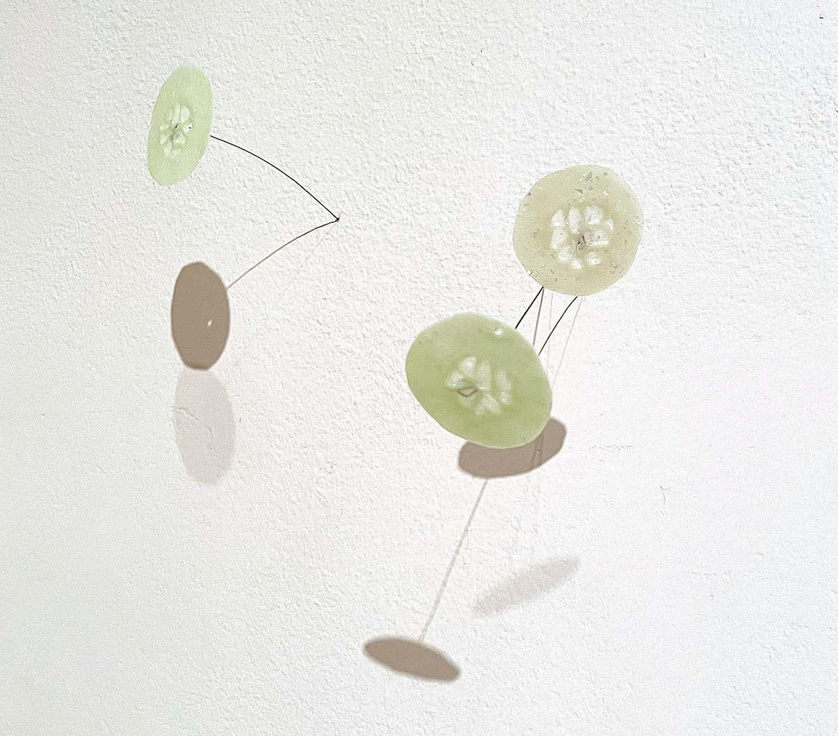 O.E.G (cucumbers) by Jennifer Seo  Image: Courtesy of the artist
