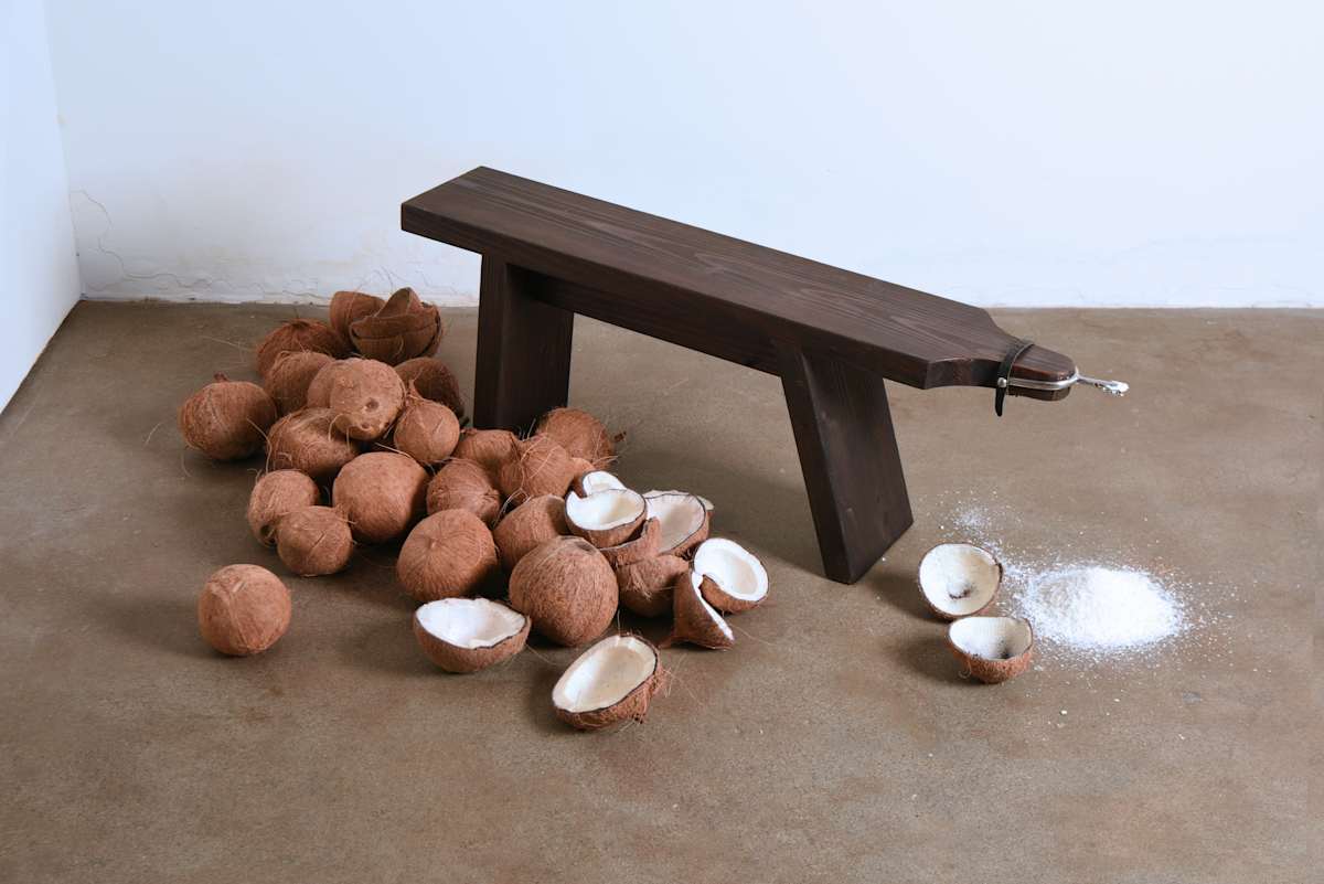 High Horse by Maria Villote  Image: Courtesy of the artist
