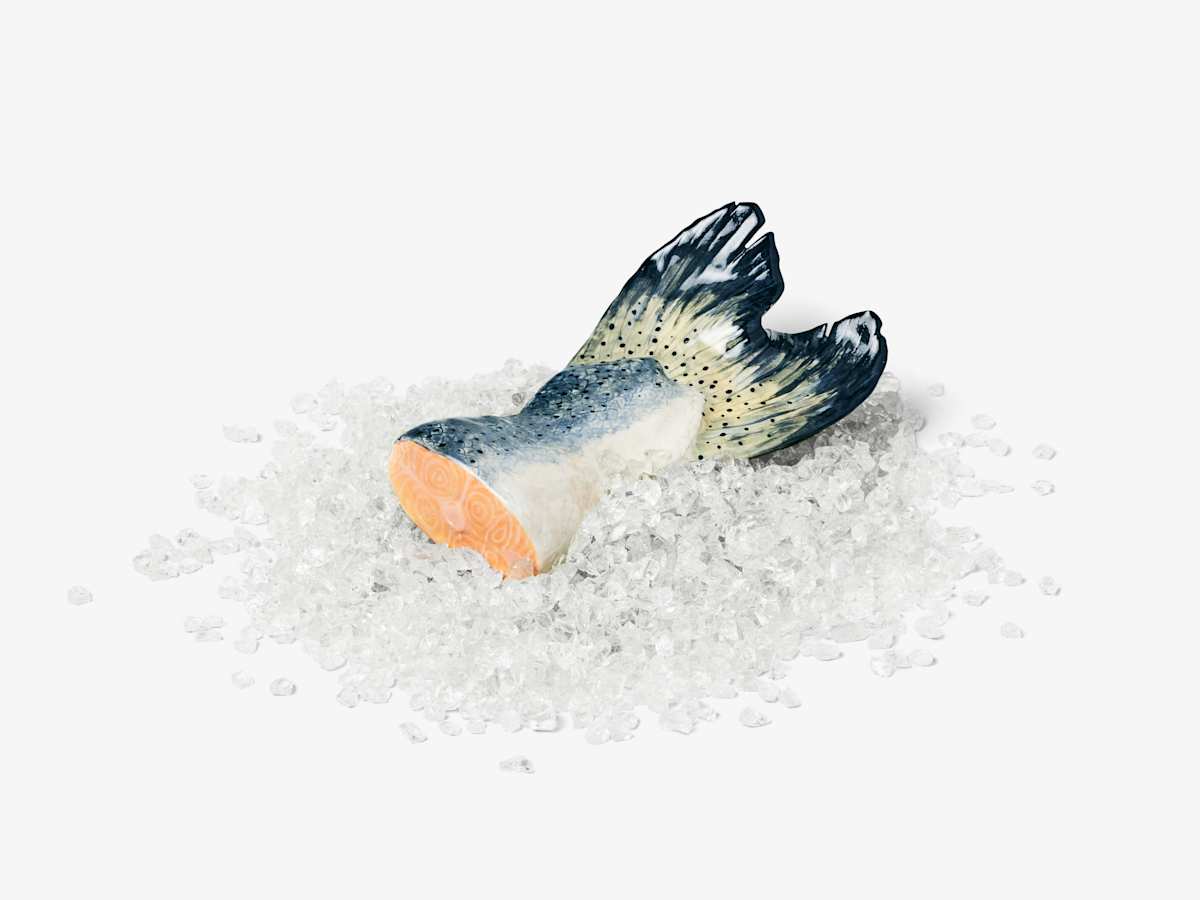 Salmon Tail by Stephanie H. Shih 