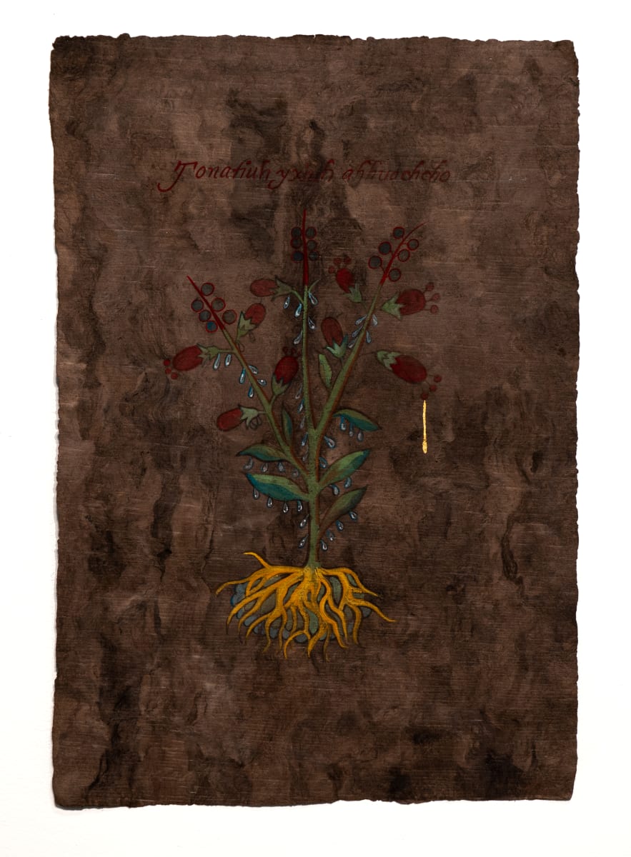 Plantas medicinales para el susto No. 1 (Tonatiuh yxiuh ahhuachcho) by Sandy Rodriguez  Image: Sandy Rodriguez
Plantas medicinales para el susto No. 1 (Tonatiuh yxiuh ahhuachcho) (Left)
Hand processed medicinal watercolor on amate paper with 23k gold
22 3/4 x 15 1/3 inches
2022
Courtesy of the artist and the NMSU Permanent Art Collection

