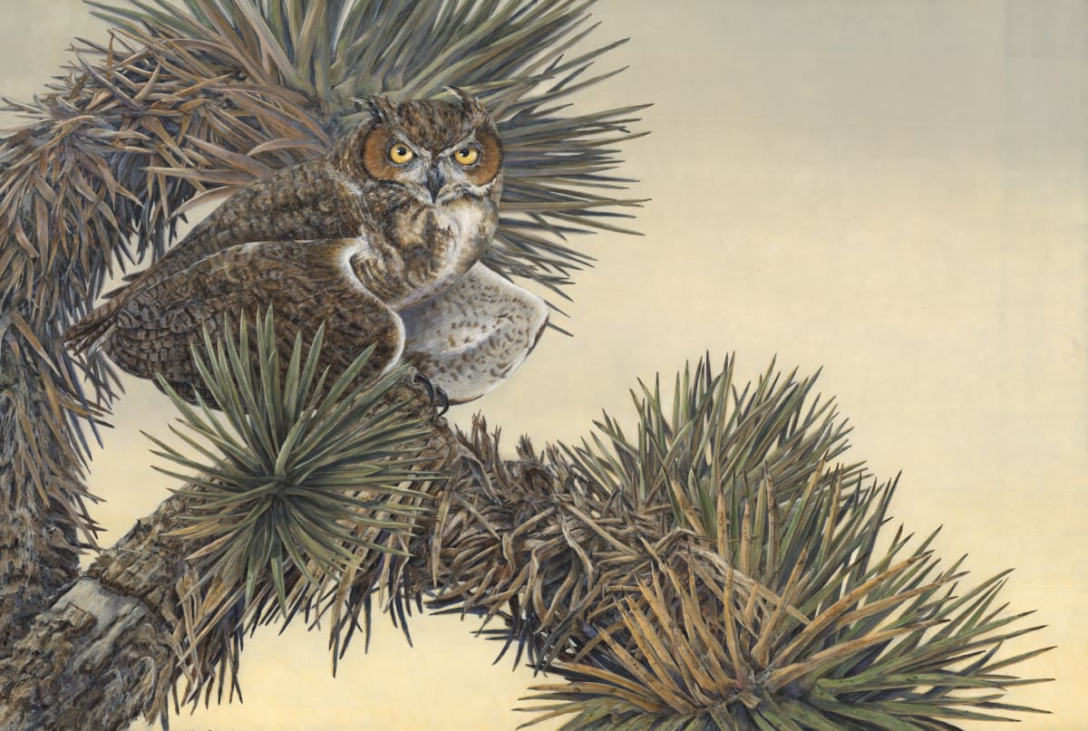 Eyes of Warning: Great Horned Owl in Joshua Tree by Sharon Schafer 