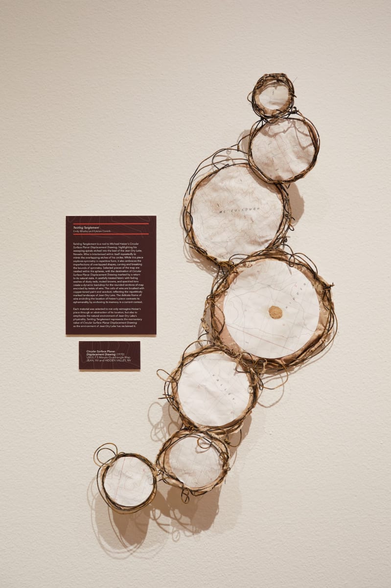 Twirling Tanglement by Emily Whatley, Kylelain Corinth  Image: Installation image by Becca Schwartz/UNLV Creative Services.