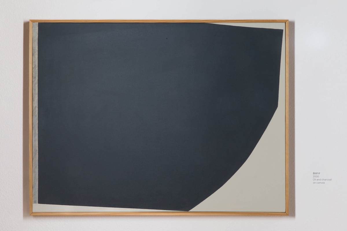 Still II by Yoko Kondo Konopik  Image: Installation View Marjorie Barrick Museum of Art, Documentation by Krystal Ramirez