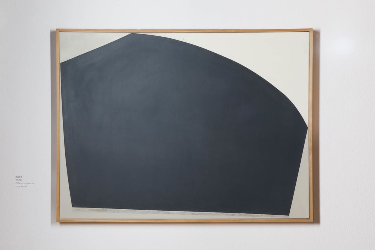 Still I by Yoko Kondo Konopik  Image: Installation View Marjorie Barrick Museum of Art, Documentation by Krystal Ramirez