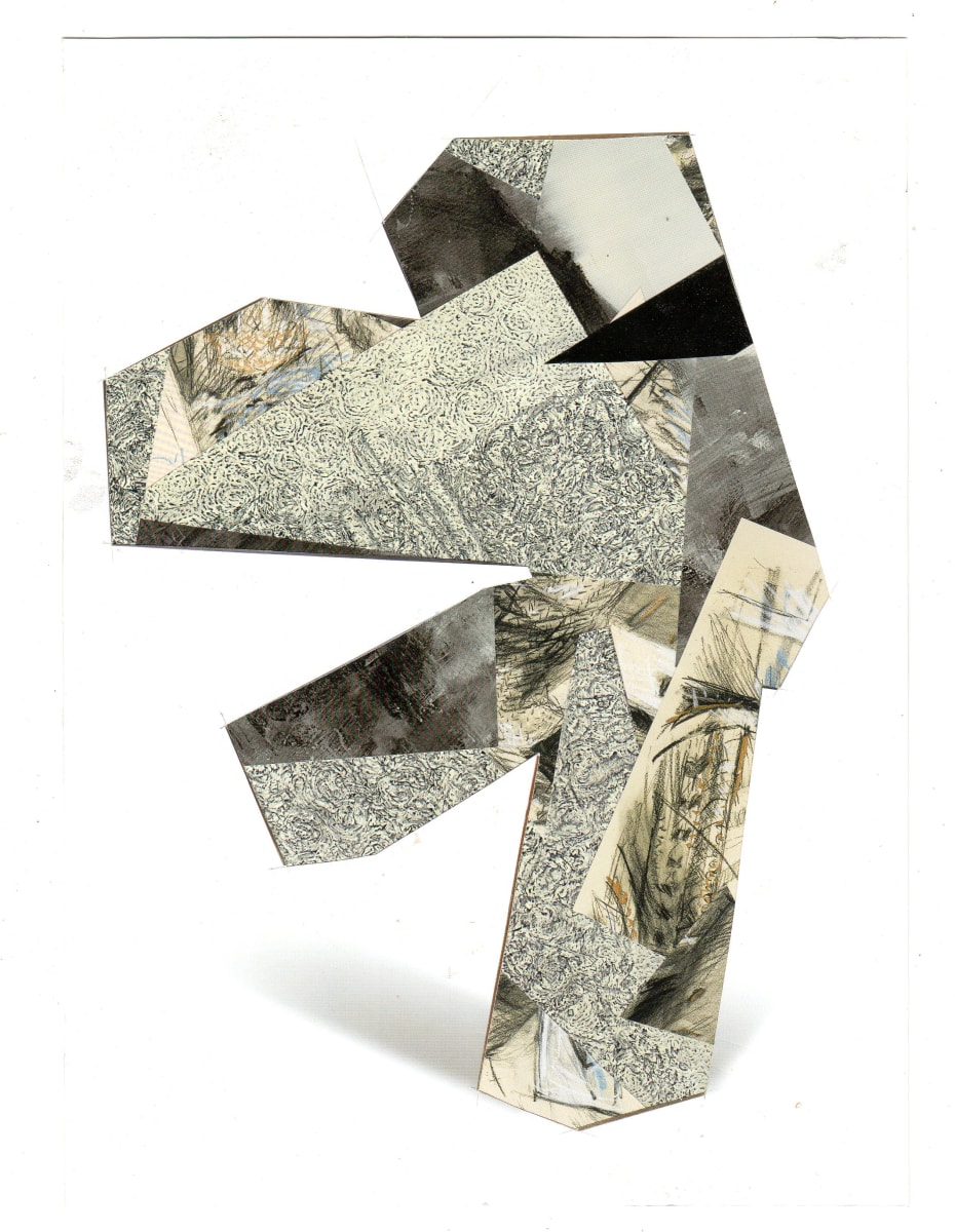 Collage #192, Image 1.
