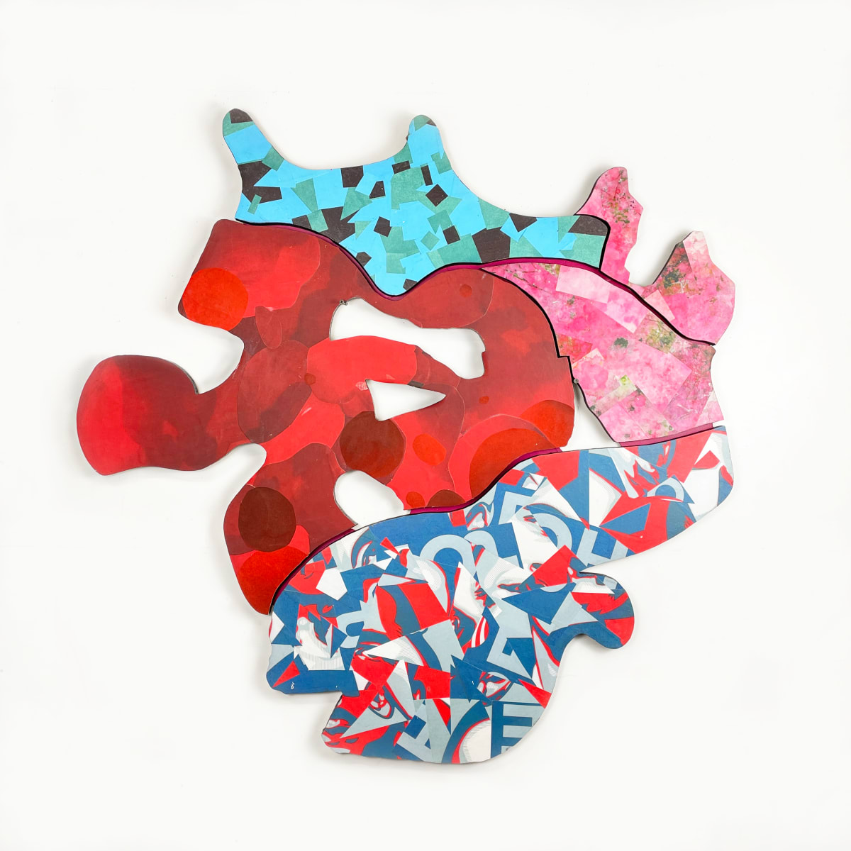 Crazy Jay Blue by Ray Beldner 