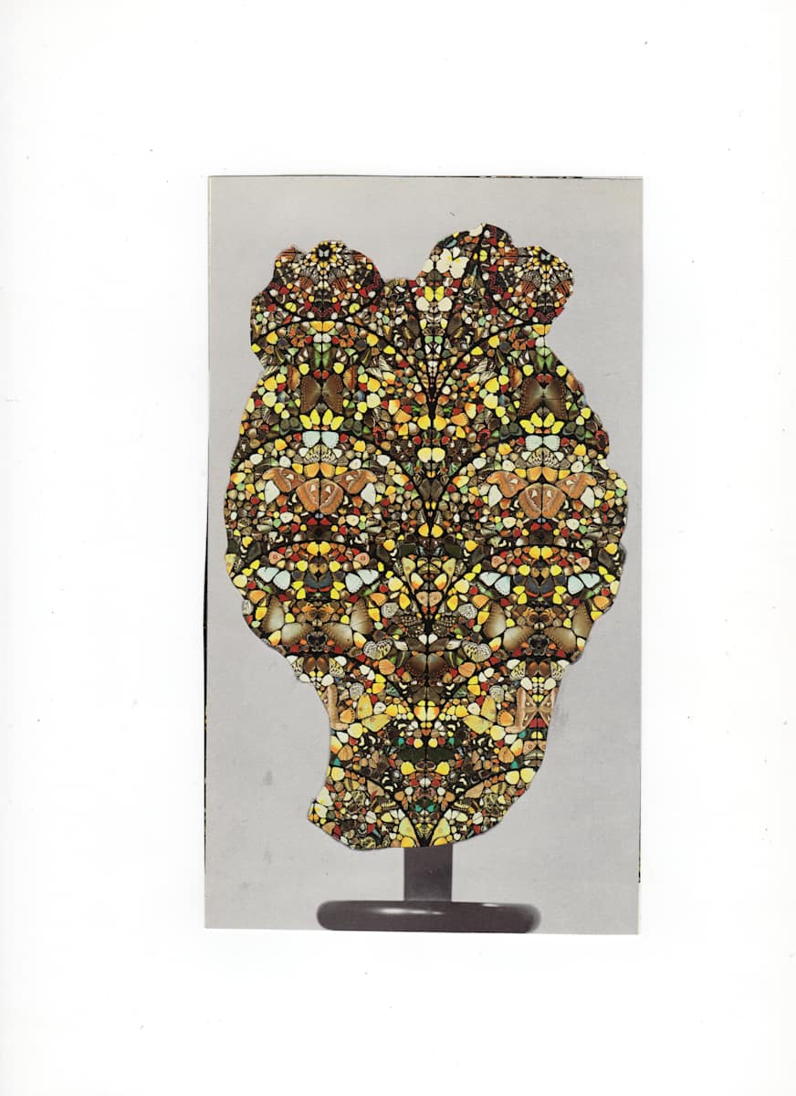 Portrait #44, Image 1.