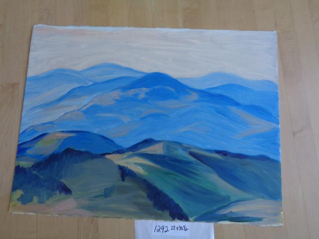 1292 by Shirley Gittelsohn, Image 1.