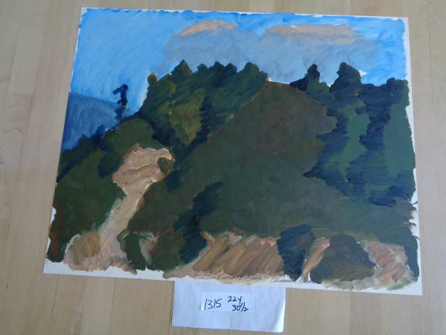 1315 by Shirley Gittelsohn, Image 1.