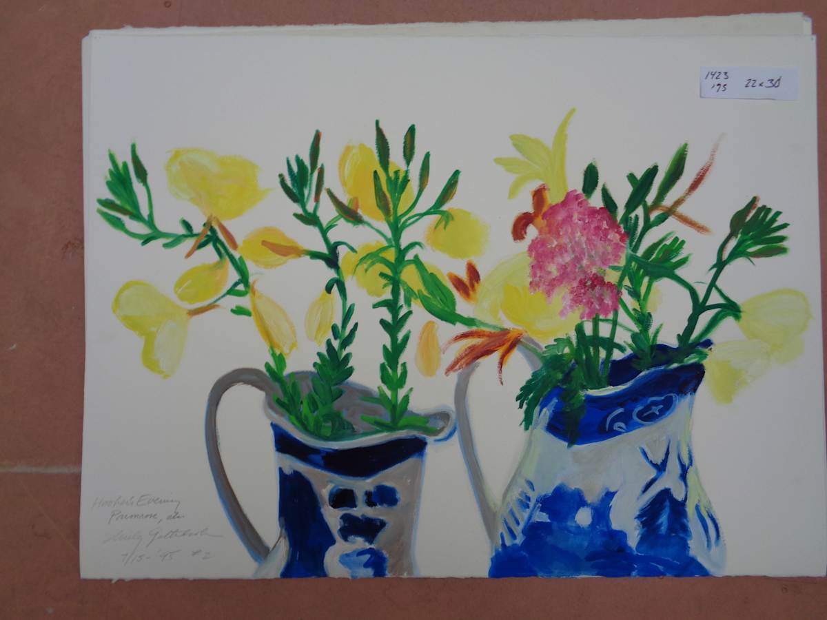 1423 Hookers Primrose by Shirley Gittelsohn, Image 1.