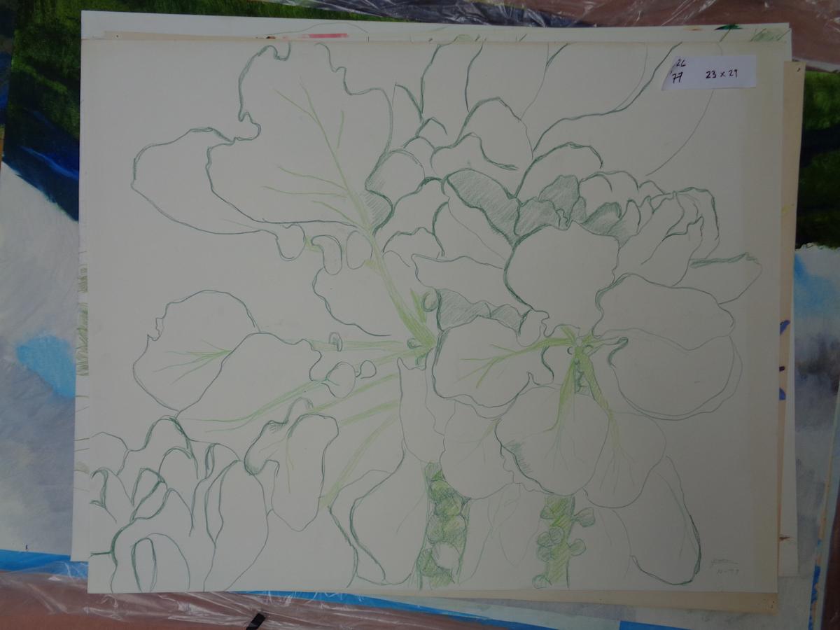 1426 Green by Shirley Gittelsohn, Image 1.
