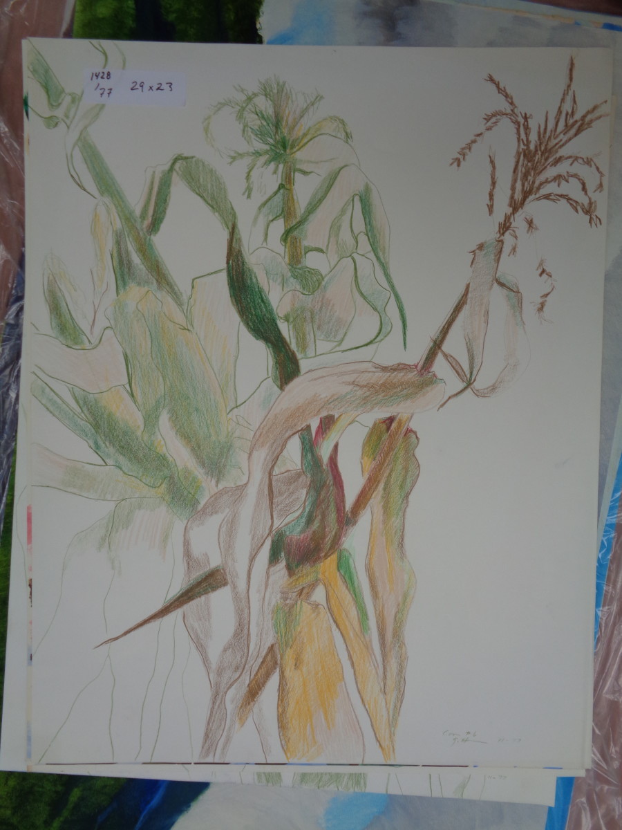 1428 by Shirley Gittelsohn, Image 1.