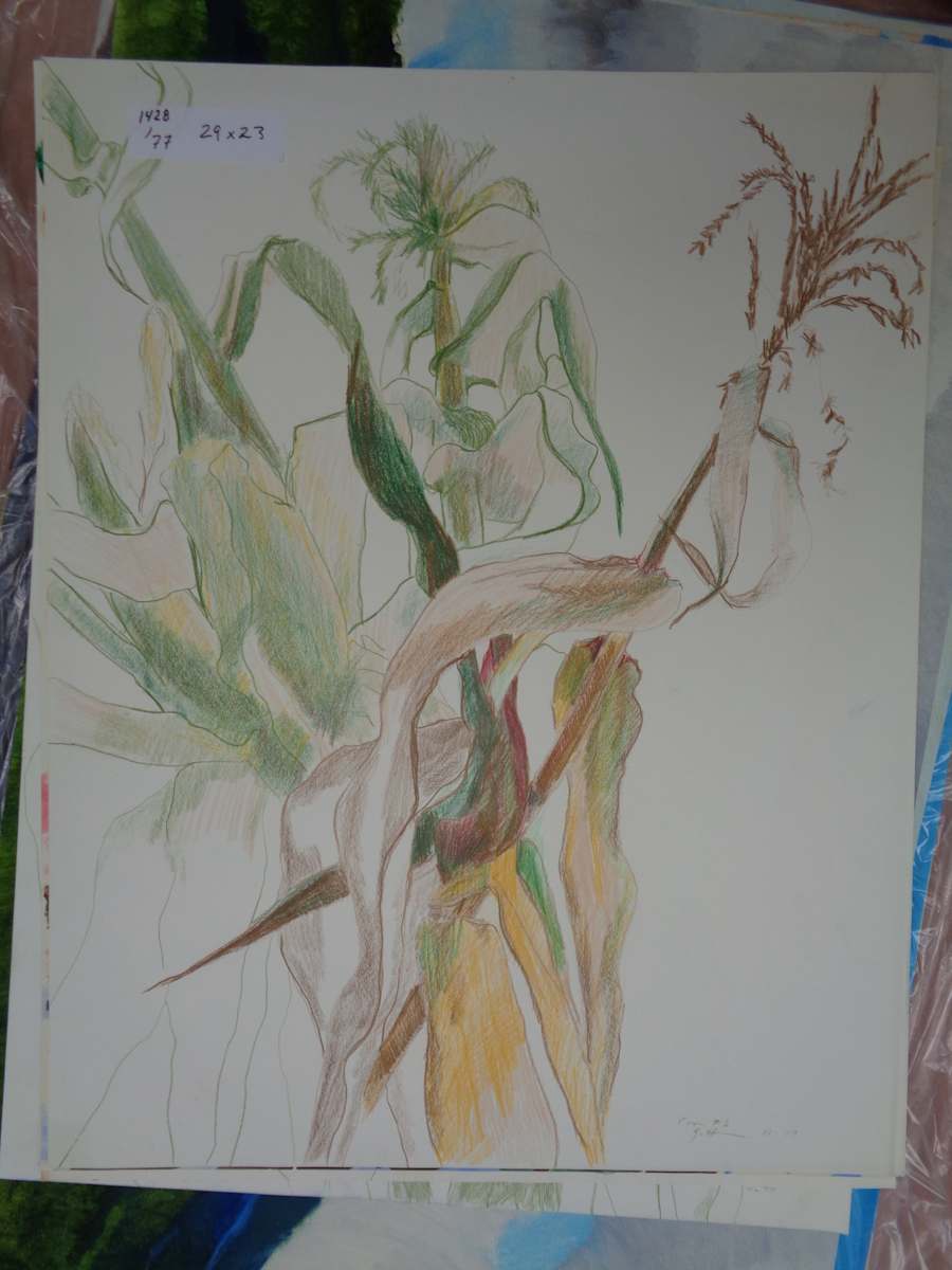 1428 by Shirley Gittelsohn, Image 1.