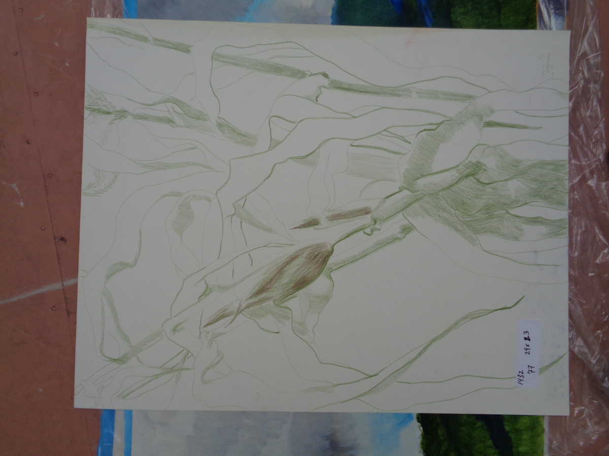 1432 by Shirley Gittelsohn, Image 1.
