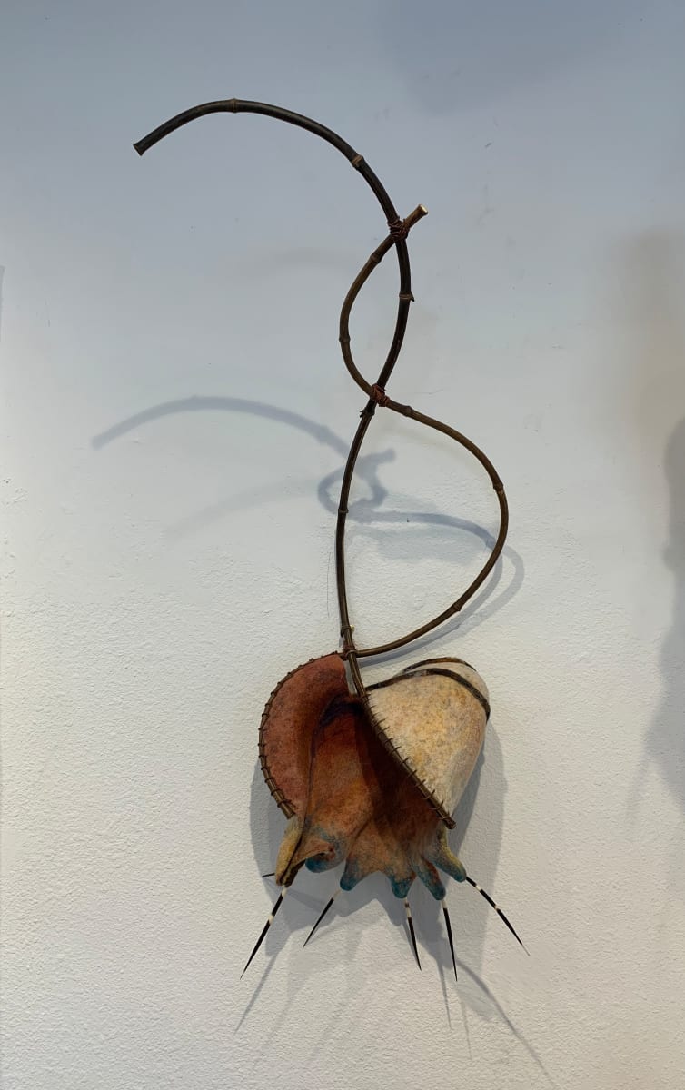 Dreams of Sea Ranch by Alana Clearlake 