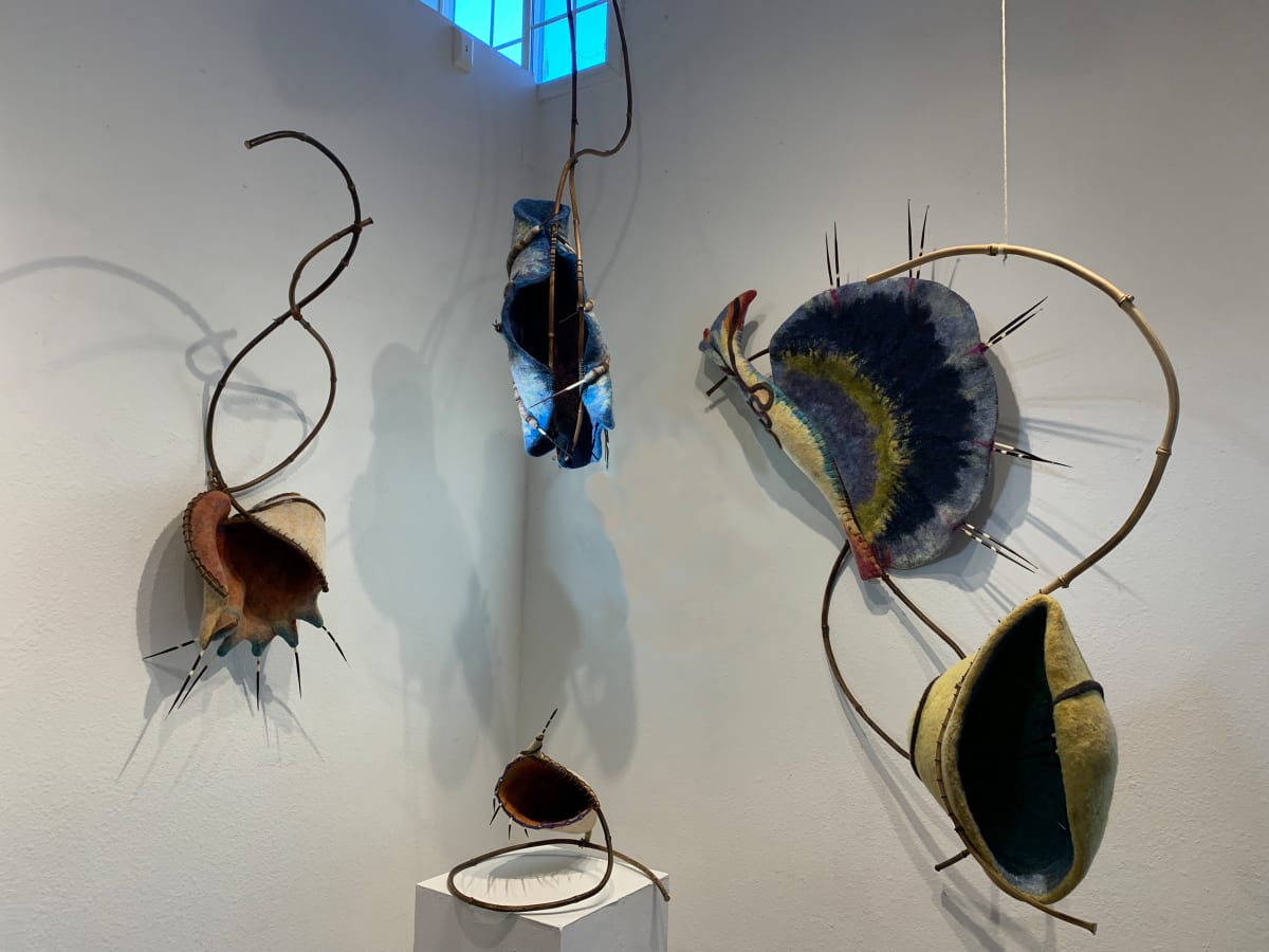 Sea Ranch Series by Alana Clearlake 