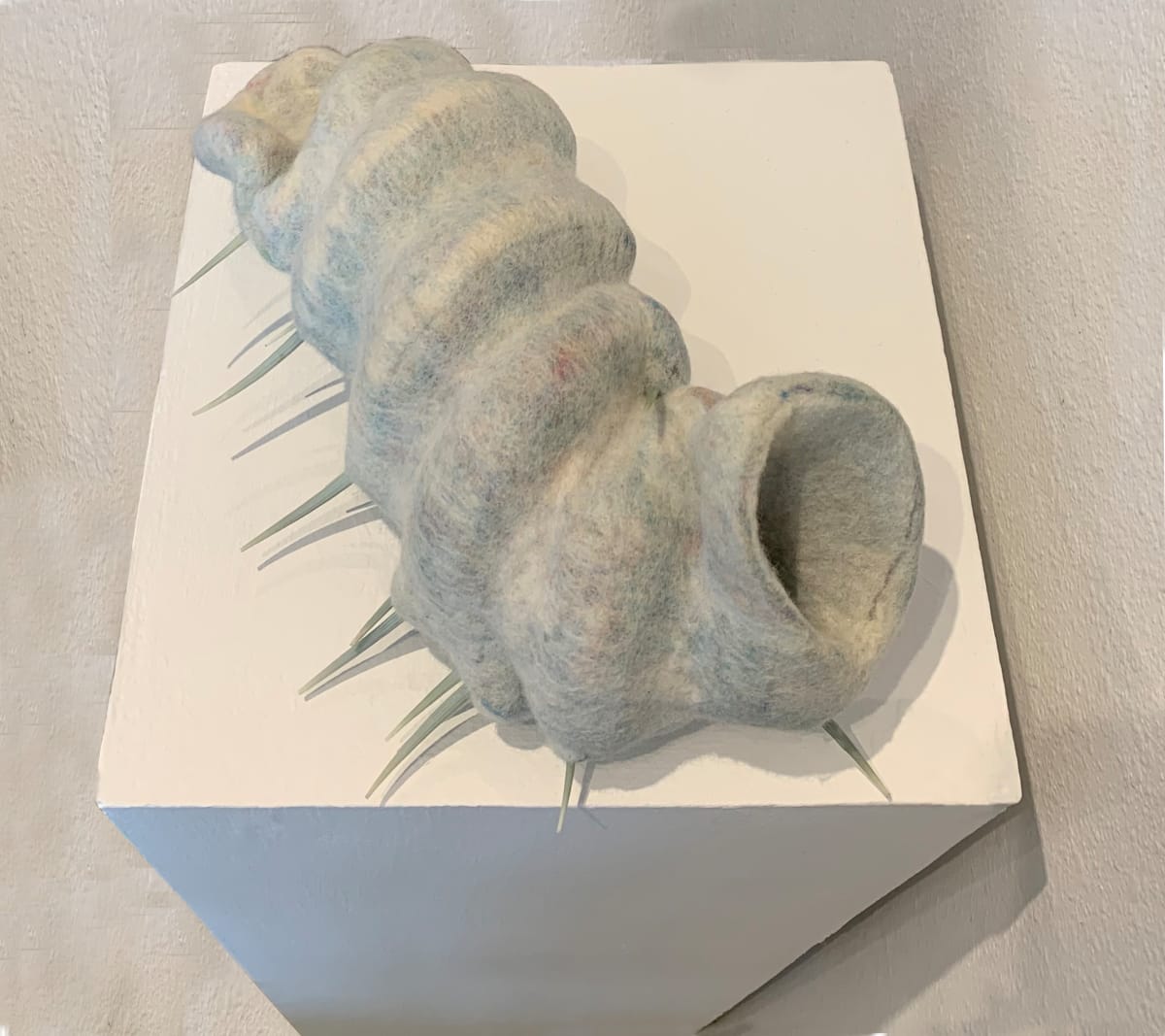 Nudibranch by Alana Clearlake 