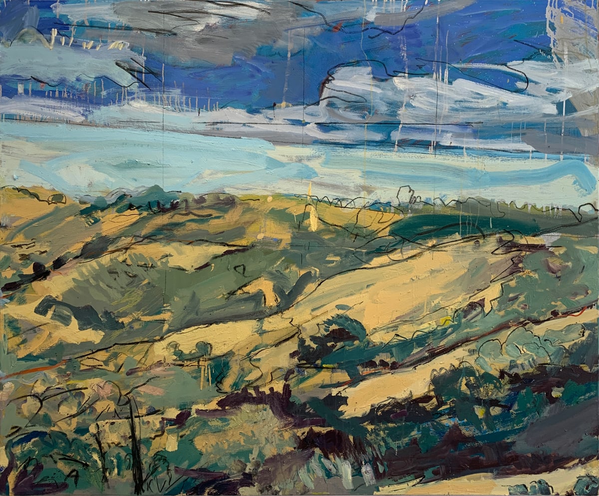 California by Darren  Jekel  Image: California