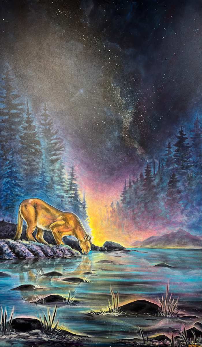 Cougar at Dawn by Katie Rose Rainbow Maker  Image: Cougar at Dawn