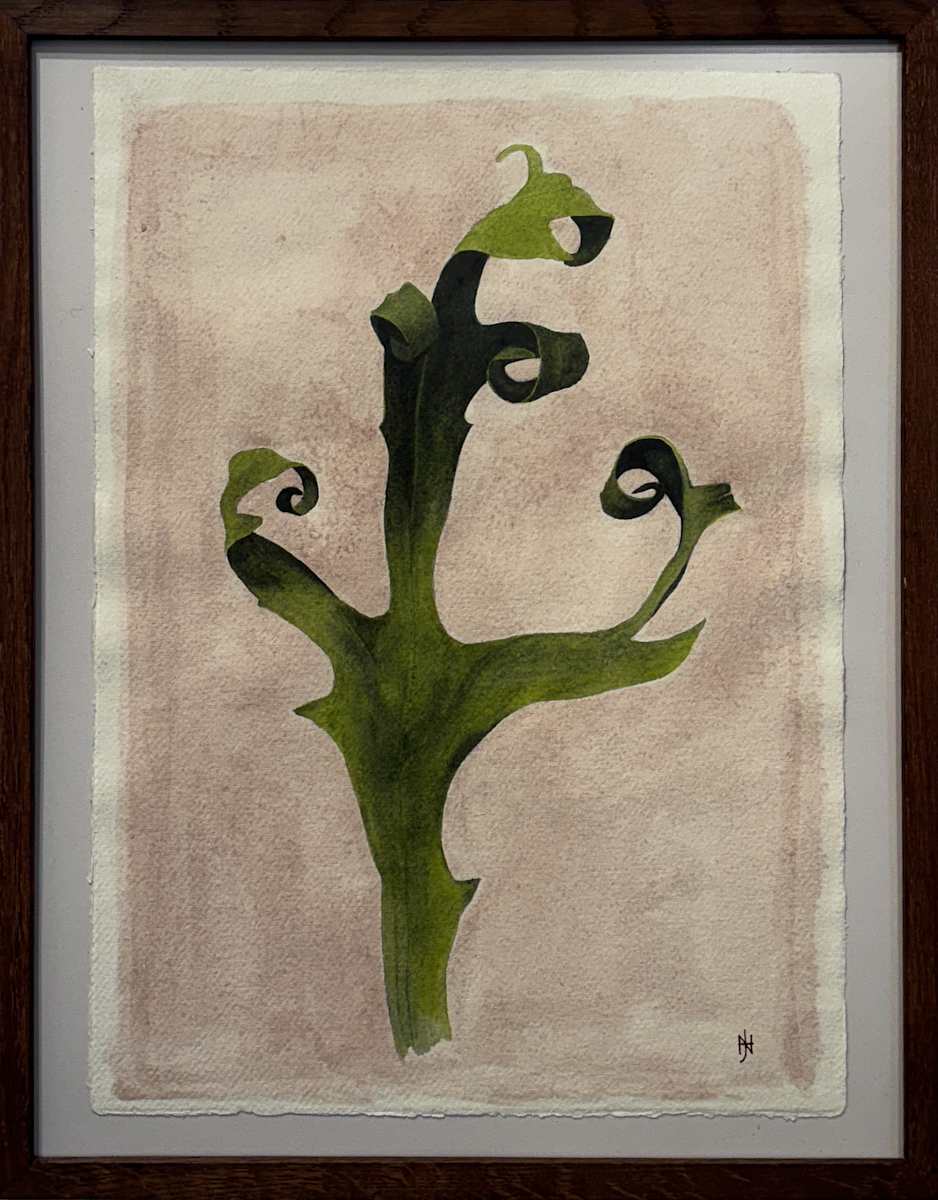 Study #5 by Nicholas Hay  Image: Study #5