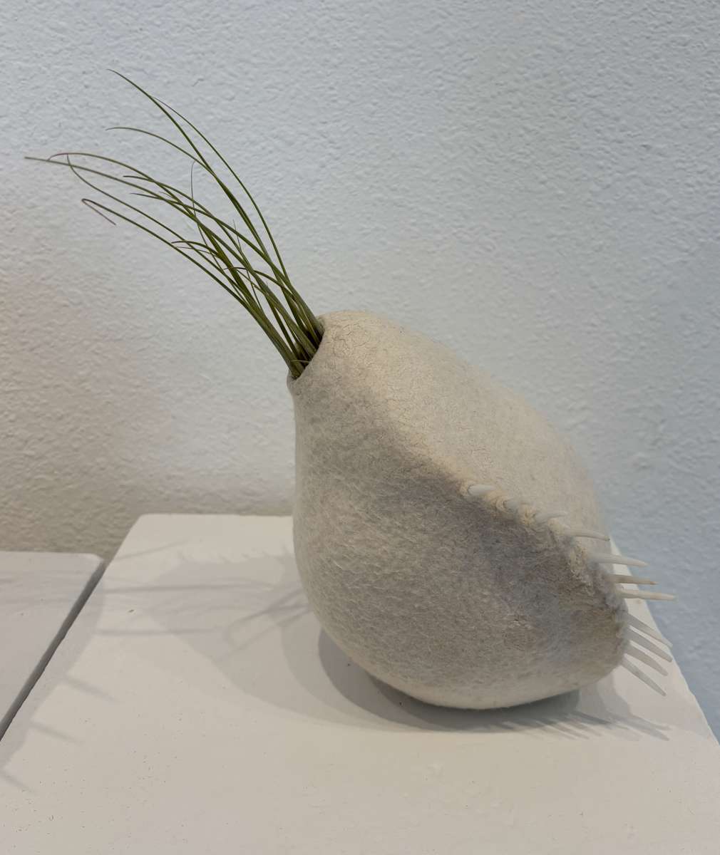 White Album, Learning to Fly by Alana Clearlake  Image: White Album, Learning to Fly