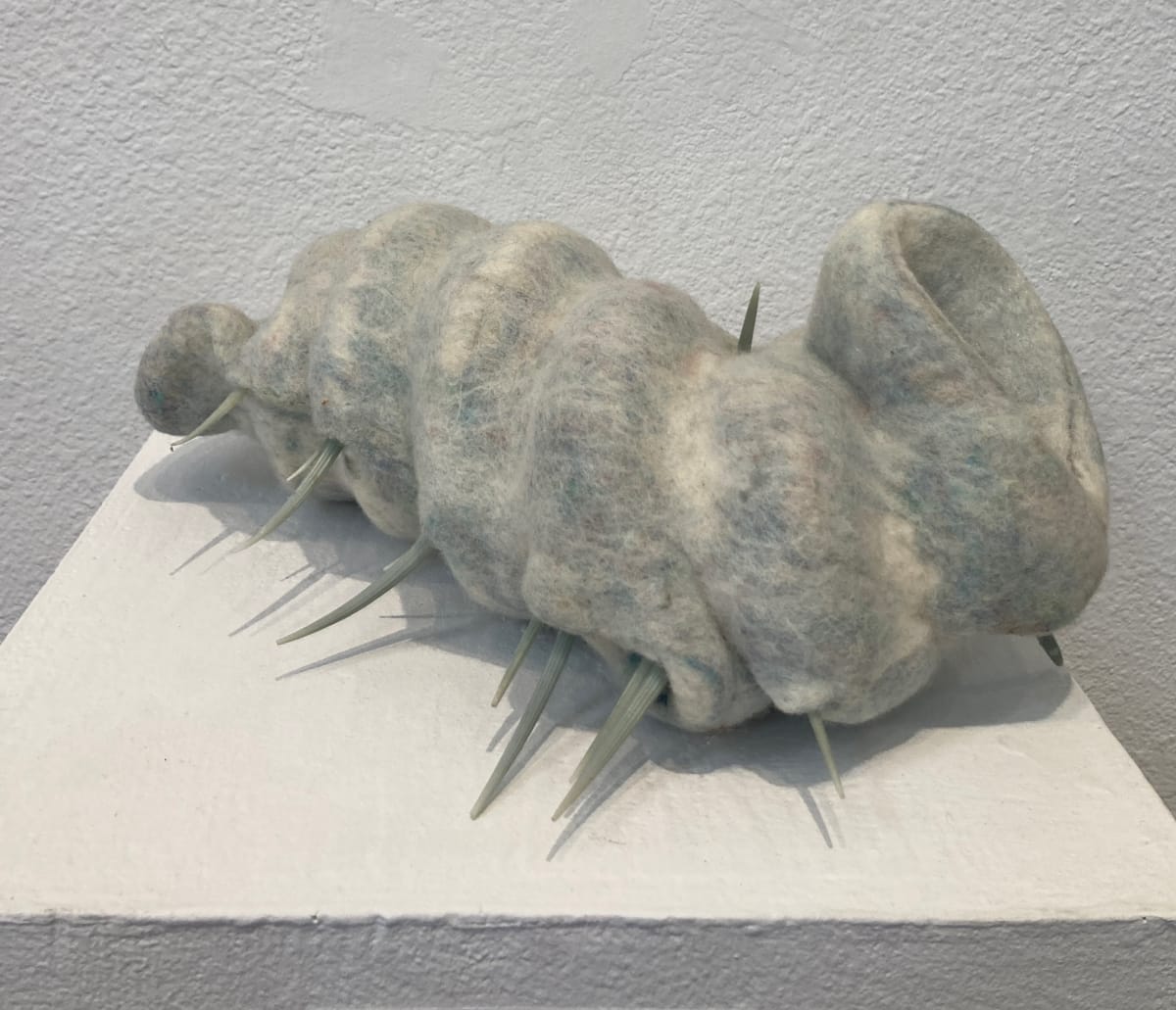 Nudibranch by Alana Clearlake  Image: Nudibranch