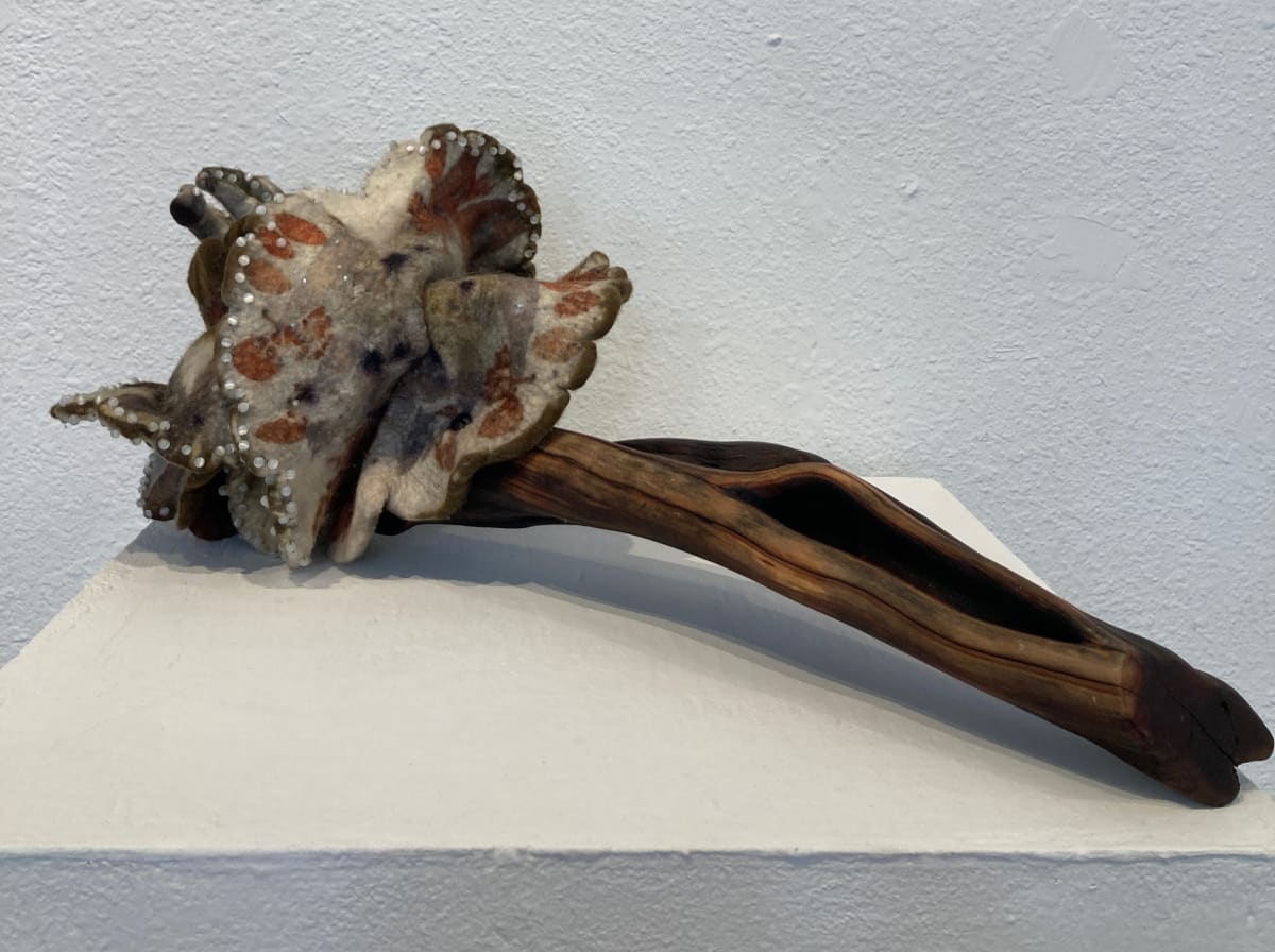 Altered Forms V by Alana Clearlake, Image 2.