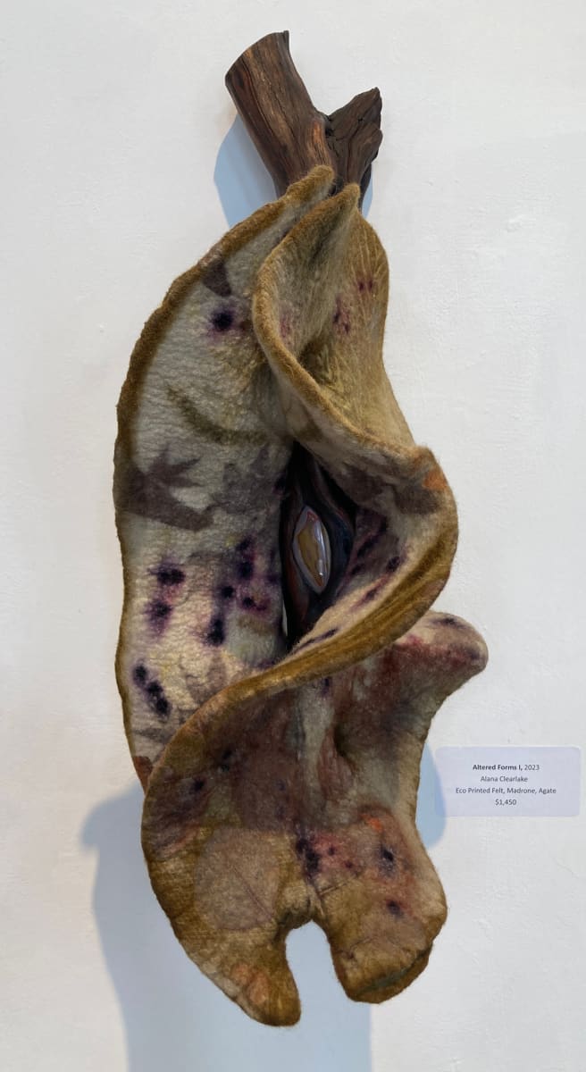 Altered Forms I by Alana Clearlake  Image: Altered Forms I