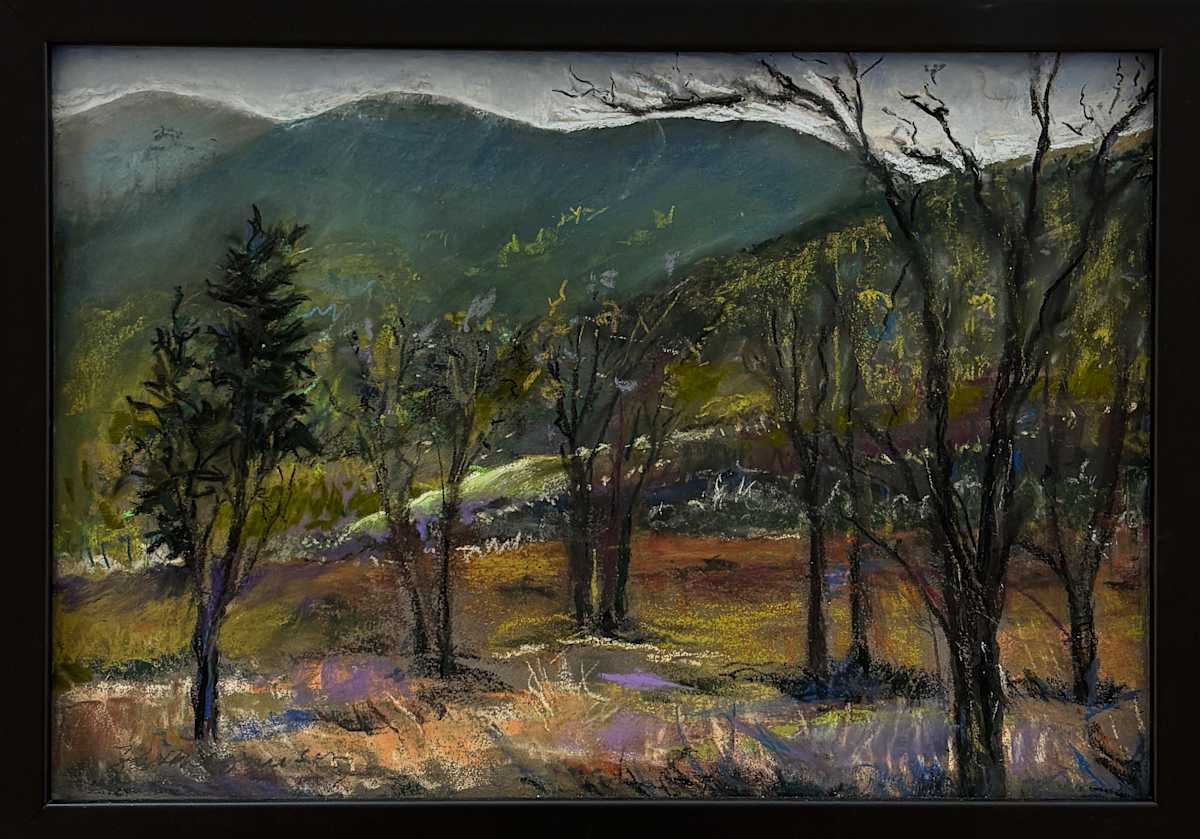 Trailside Park, Struggling, New Growth by Karen Magnuson  Image: Trailside Park, Struggling, New Growth
