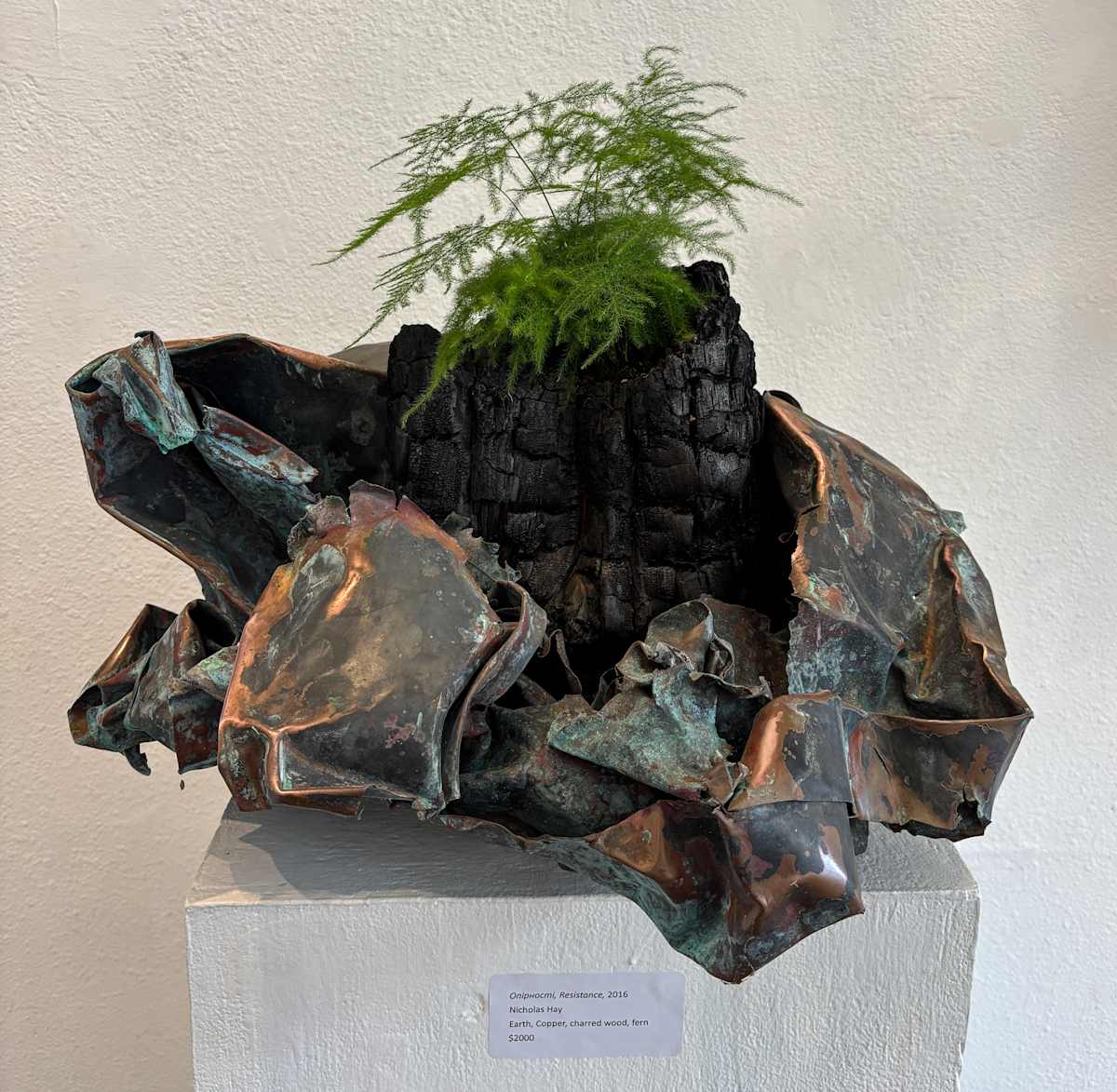 Oniphocmi, Resistance by Nicholas Hay  Image: Oniphocmi, Resistance