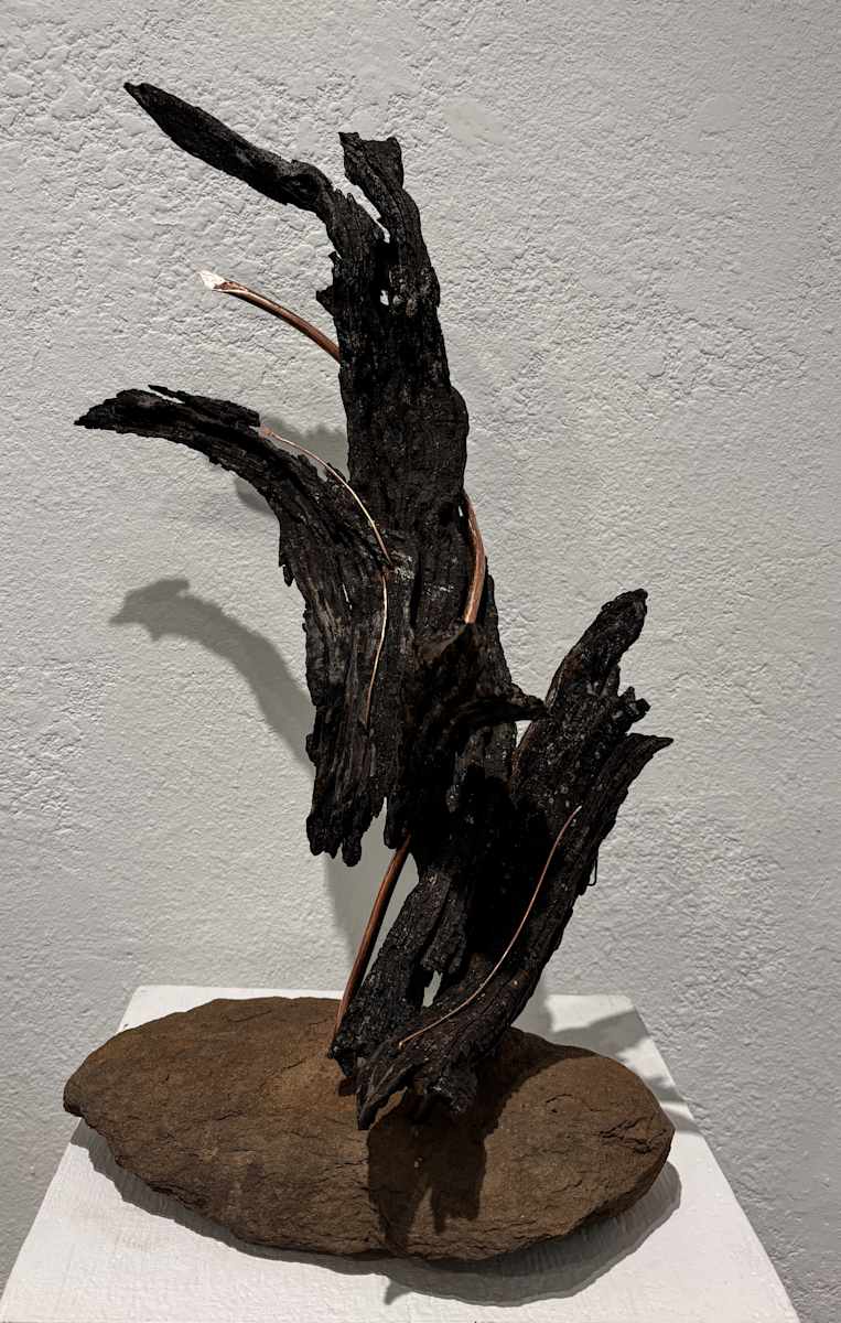 Up in Flames by JV  Magoon  Image: Up in Flames