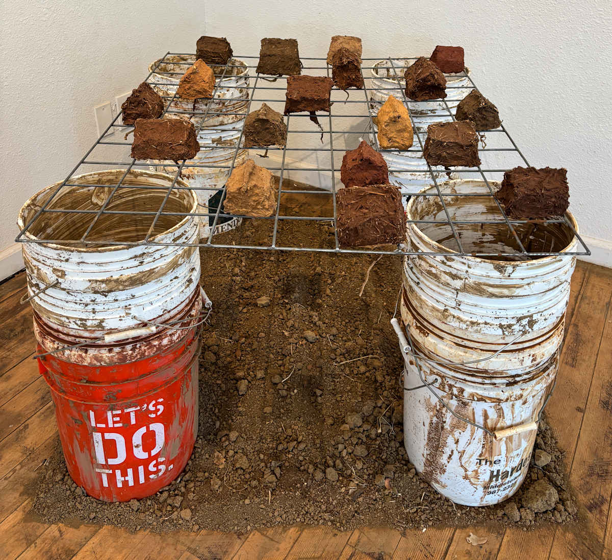Re-Rooting by Lisa Kaplan  Image: Re-Rooting