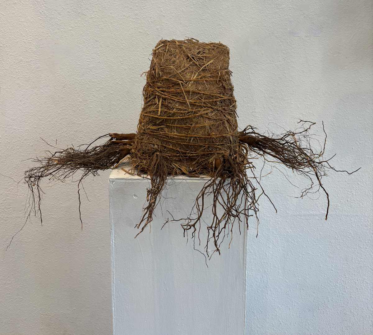Root Home #2 by Lisa Kaplan  Image: Root Home #2