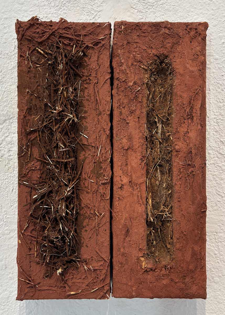 Complementary by Lisa Kaplan  Image: Complementary