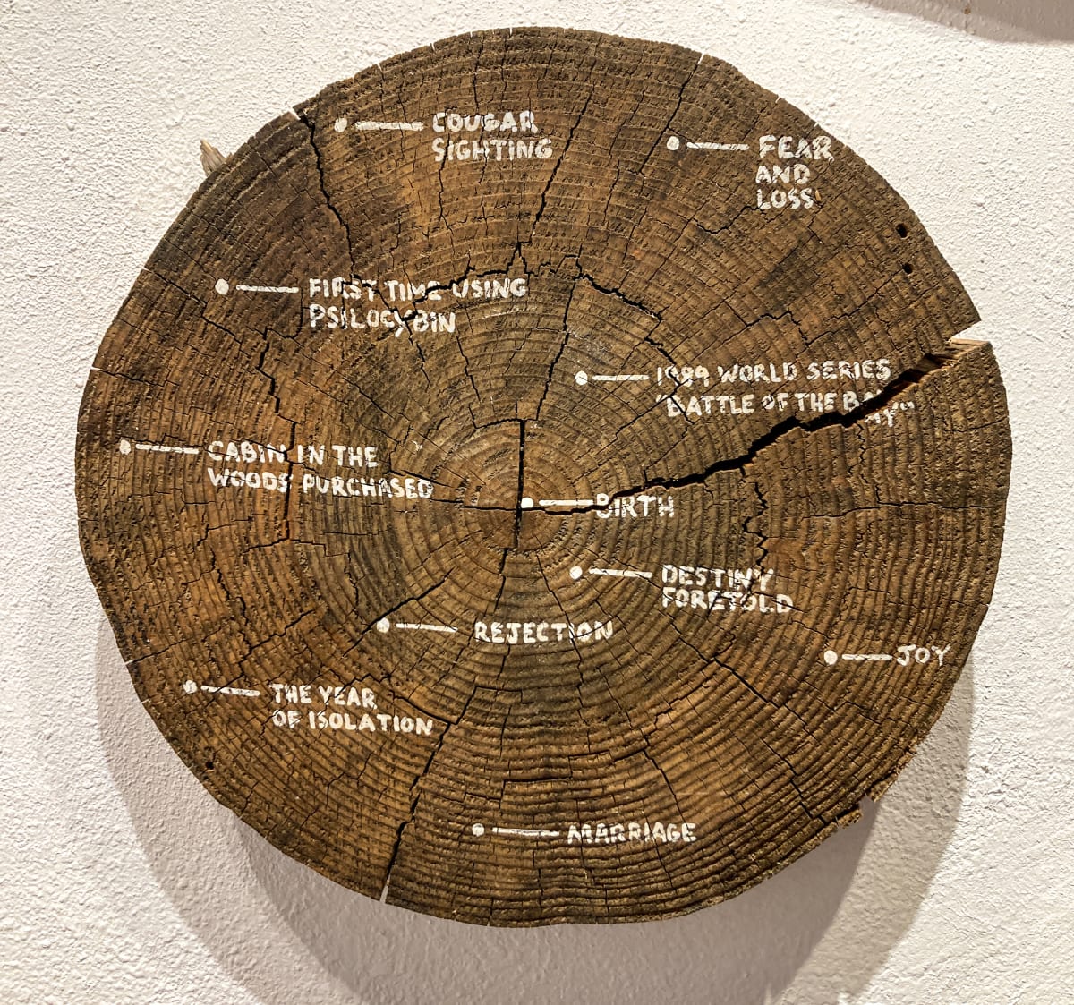 Growth Rings (b) by Vincent Pacheco  Image: Growth Rings (b)